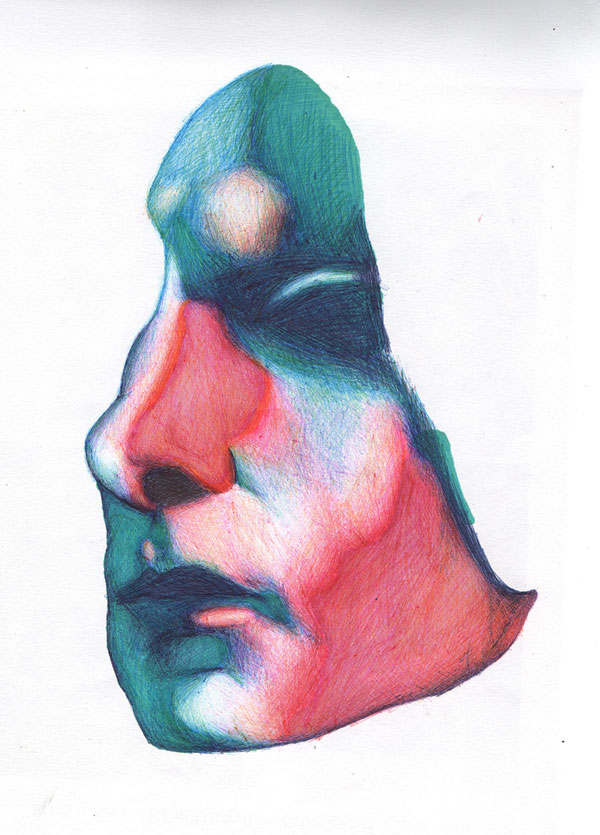 Biro Drawing by Yasmin Falahat