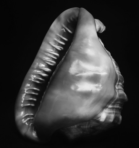 Untitled from Fractal Scars_Salt Water and Tears_10x12_fibre