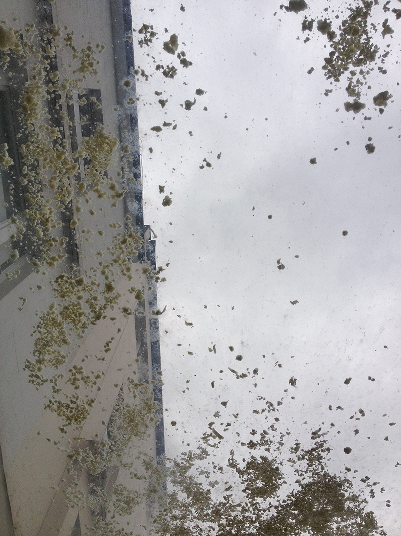 'A Hollow Victory', Lara Kester, soap shavings and glass skylight