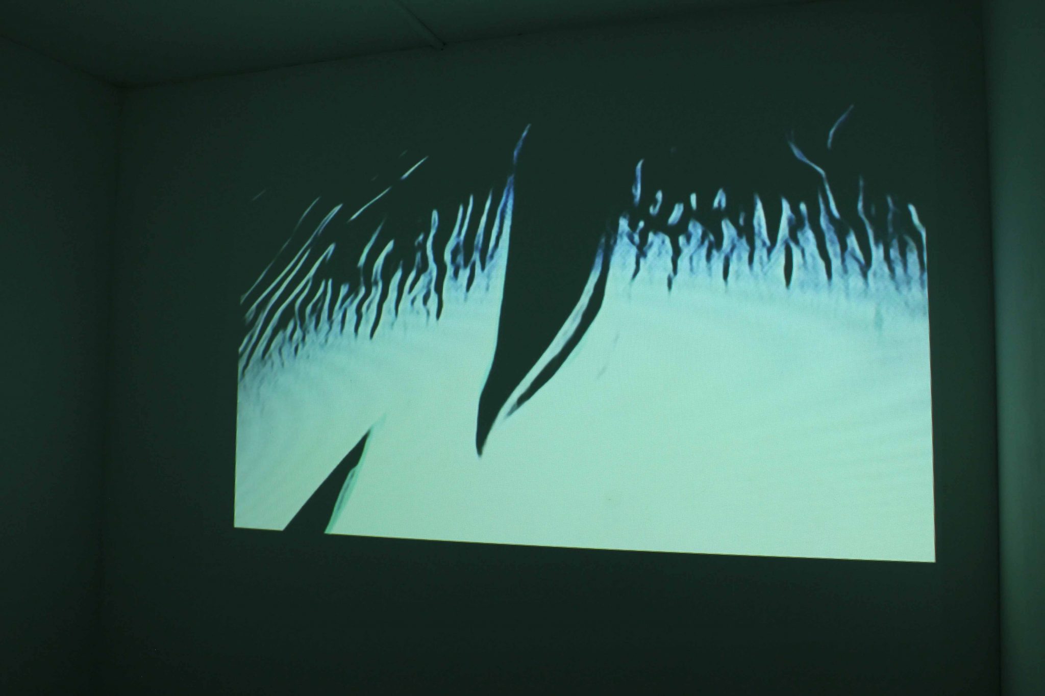 Installation view - White Dwarf, image courtesy of the artist Gabriel Molina