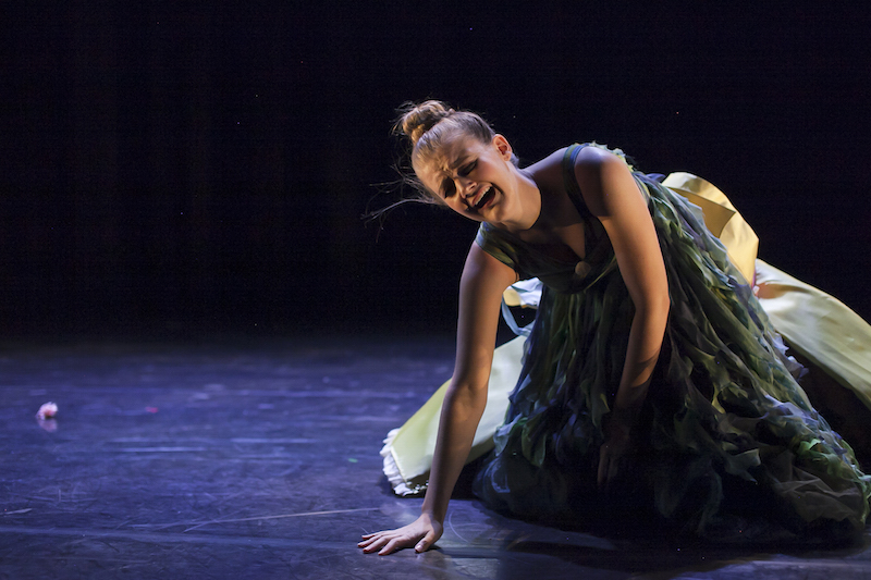 Sophie Meyer by Emmi Hyyppa.