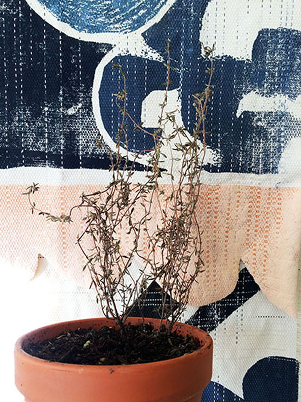 Print by Erica Weide