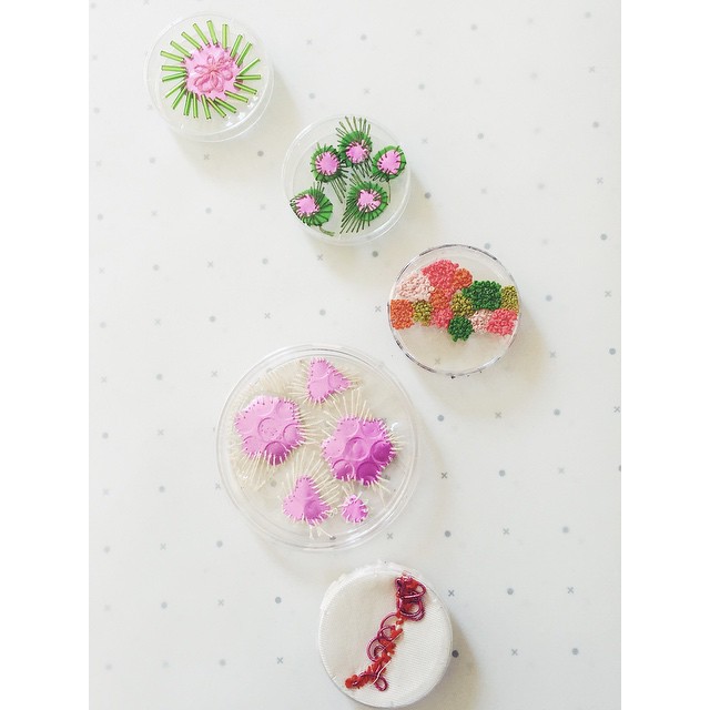 Photo Taken by Sydney Pimbley