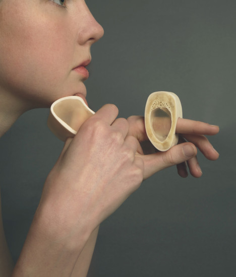 Linnea Nilsson-Gray Bone Rings