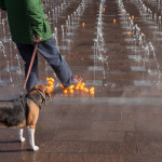 I'll Pick You Up After Lunch by Georgia Gendall and Jo Scandrett