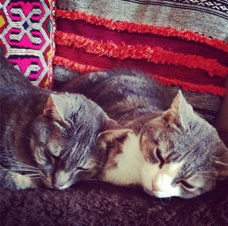 The unofficial staff members of Trend Atelier, Jeannie and Jasper who don't get much work done ever