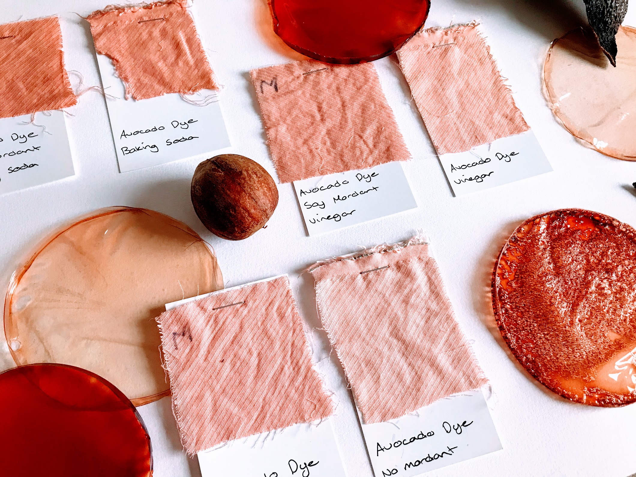 Material dyed with waste food by Marie Stenton