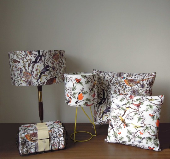 Jacqueline-Colley-(5)