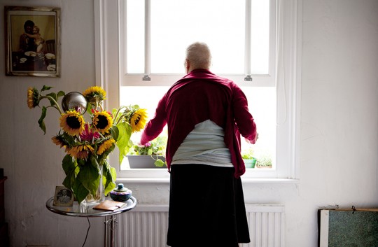 CelineMarchbank_Tulip_02