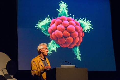 RK Convergent Territories