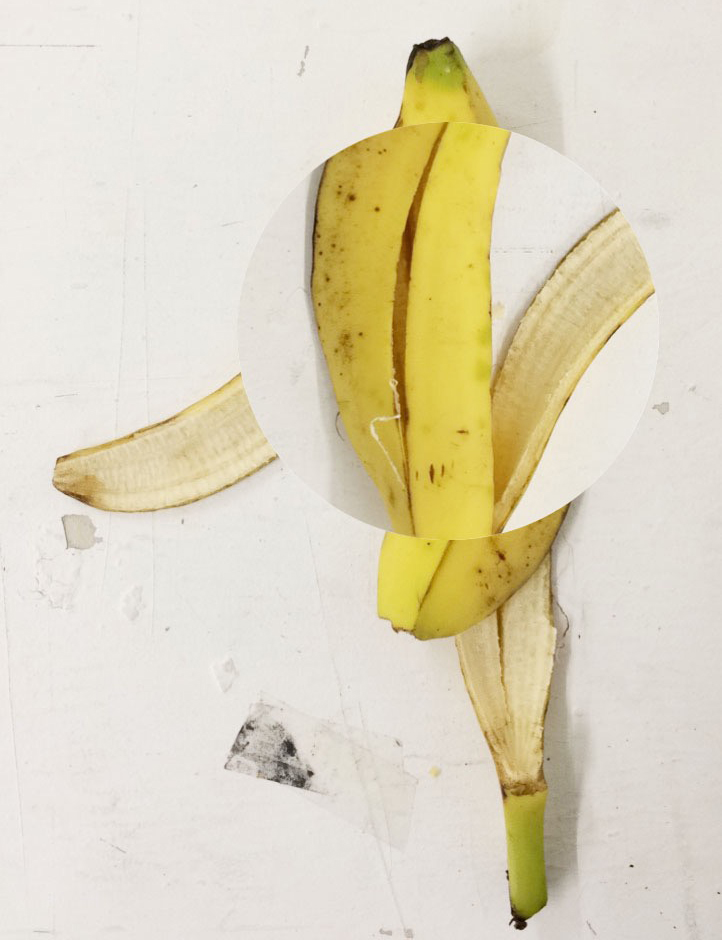 'Circle banana' (Photoshop drawing)