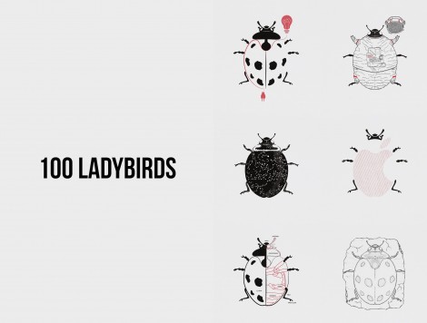 anabelle_jelena_ladybird_image.indd