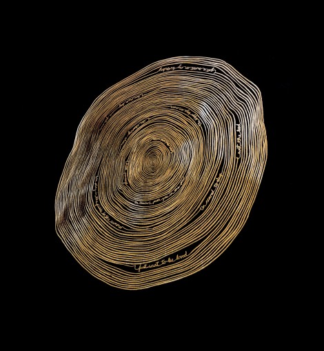 Amelia Ward_the growth of silence