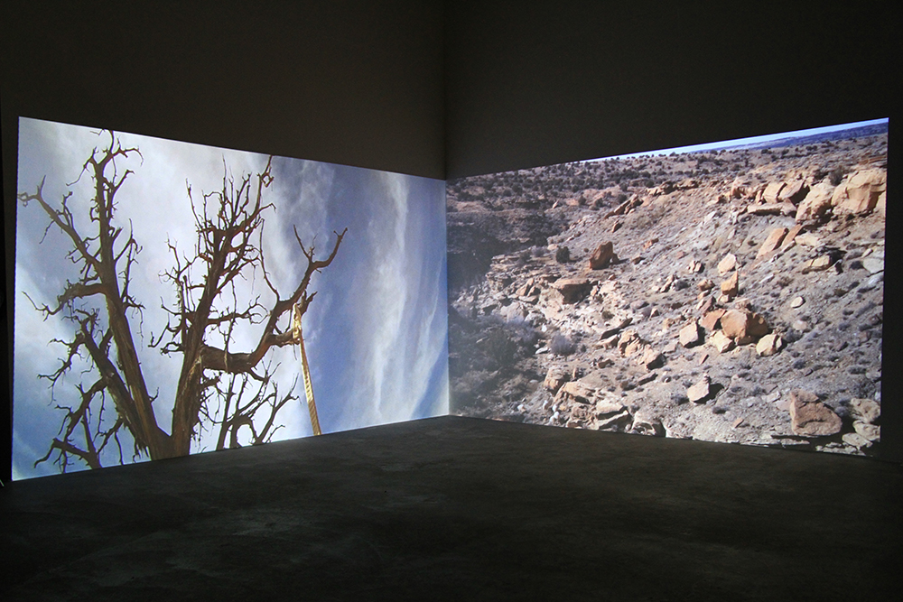 Black Mesa in situ © Camille Summers-Valli