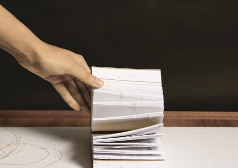 NireeshaPrakash_FMP5_resized