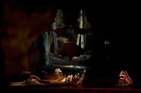 'Motwoods', image courtesy of the artist Alice Evans