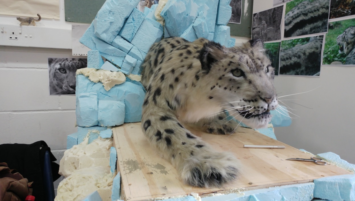 Emilie's snow leopard sculpture