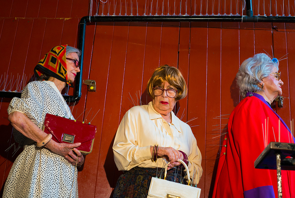 Pest Control (social behaviour and the disconnection and solitude of crowds)