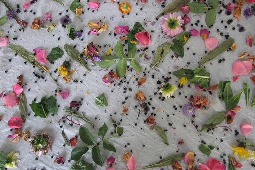 Dyeing to do things differently