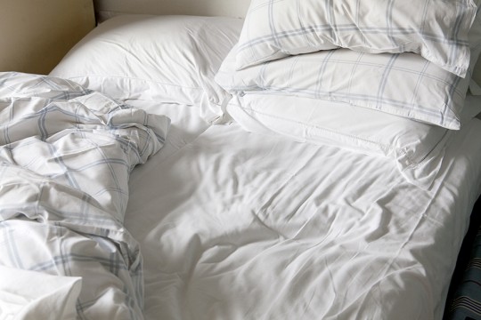 CelineMarchbank_Tulip_14