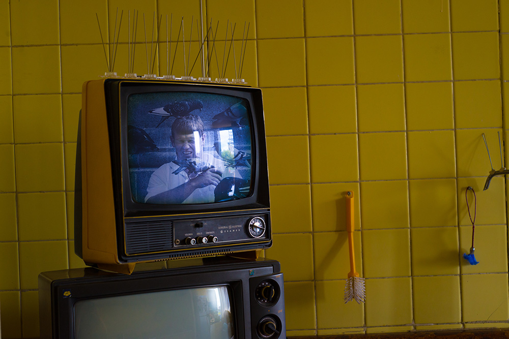 Fun Fair (social behaviour, the search for epic moments and the pleasure of feeling more alive)