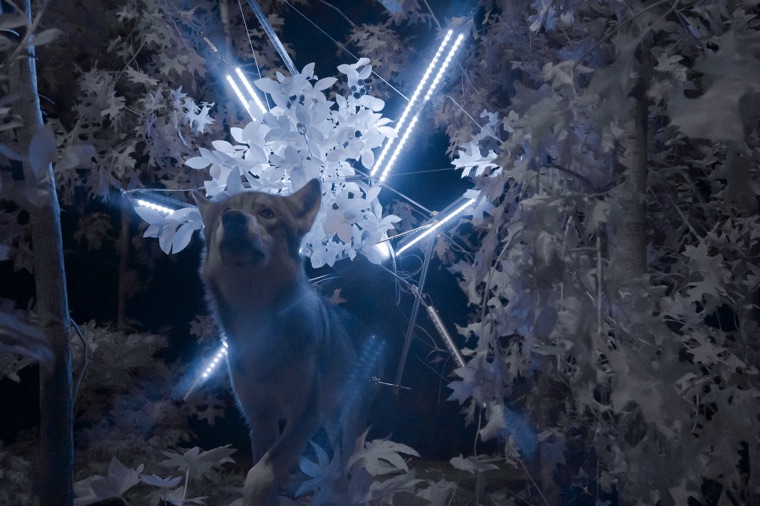 Nowhere a Shadow, Cohen Van Balen 2013.