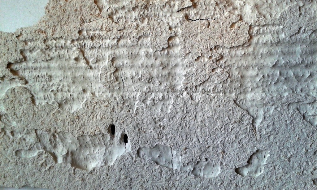 Ceramic Textiles, Daisy Buckle