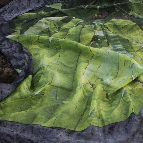 Work by Marcos González Rodríguez