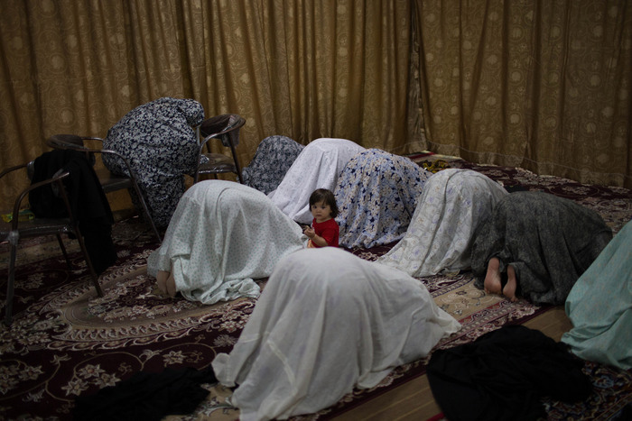 Mojgan Ghanbari, 2015.