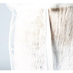 © Olivia Lightfoot and Cathy Yu