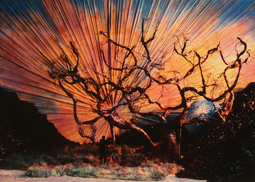 image of Cécile Trémolières' degree show design