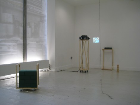 Oasis by Vanessa Walters