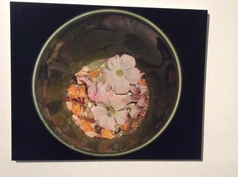 C_11647319_10205915070370930_116314199_n