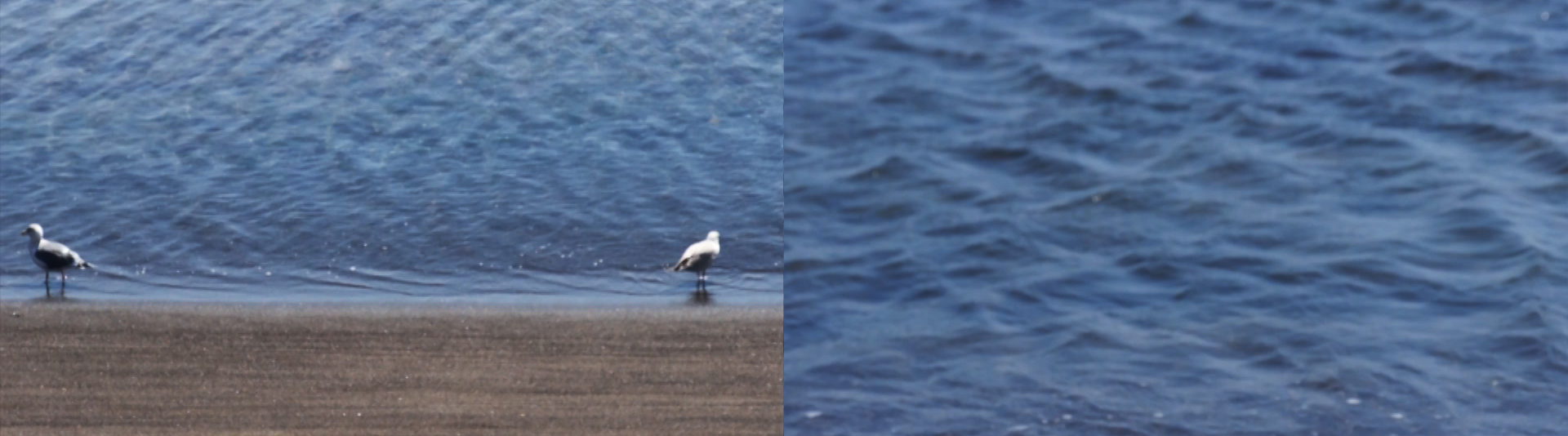 Haenyeo,  Ellie Kyungran Heo  2013