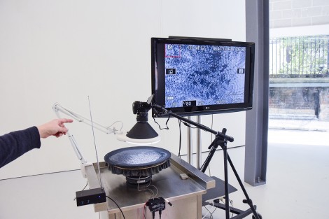 'Orders of Magniture - Potato Powered Cosmos', Rachael Nee, 2016