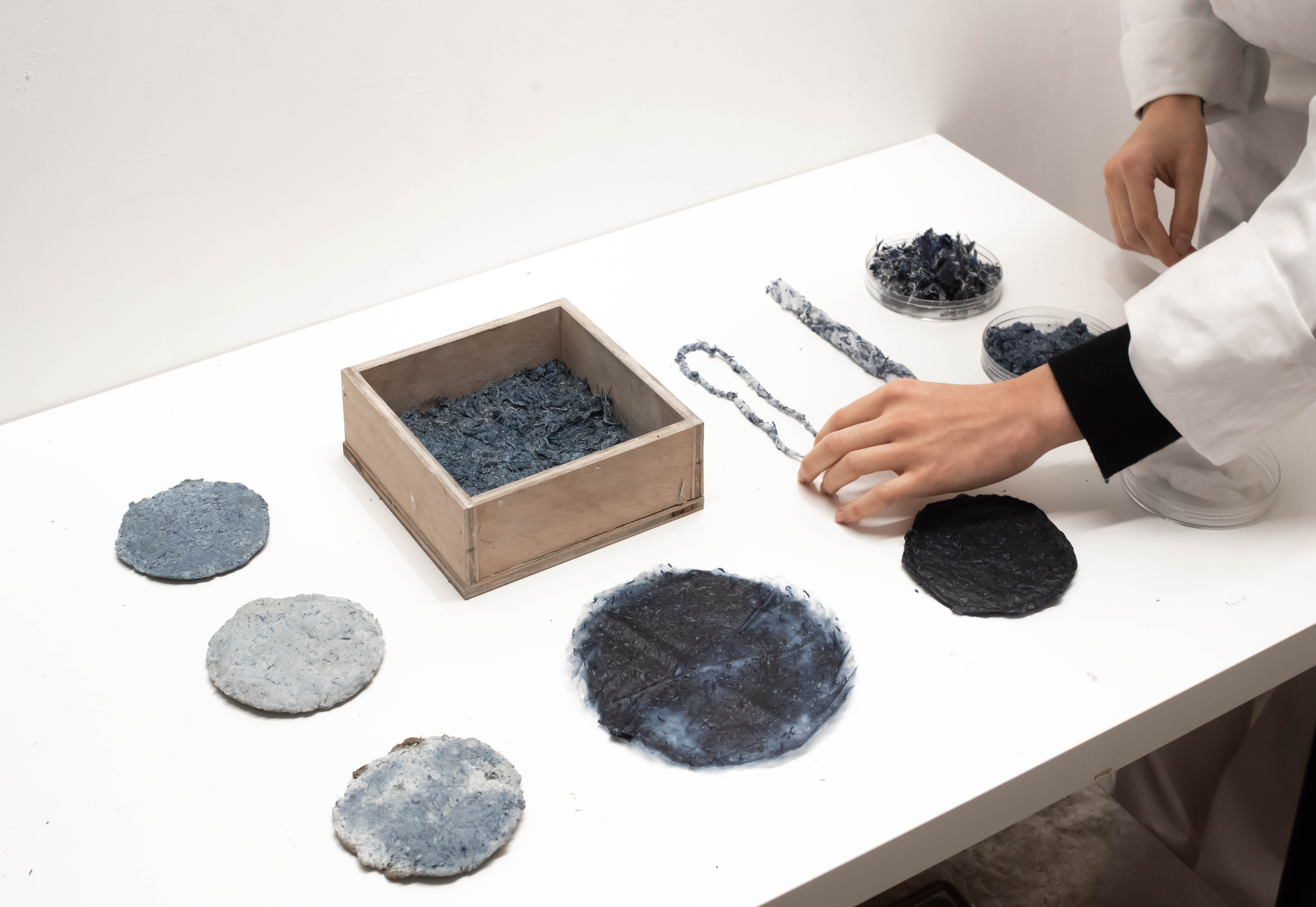 Circular coloured samples aligned on a laboratory table.