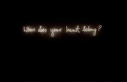 Where Does Your Heart Belong, from series the daily questions, 2014, neon. By Michal Martychowiec