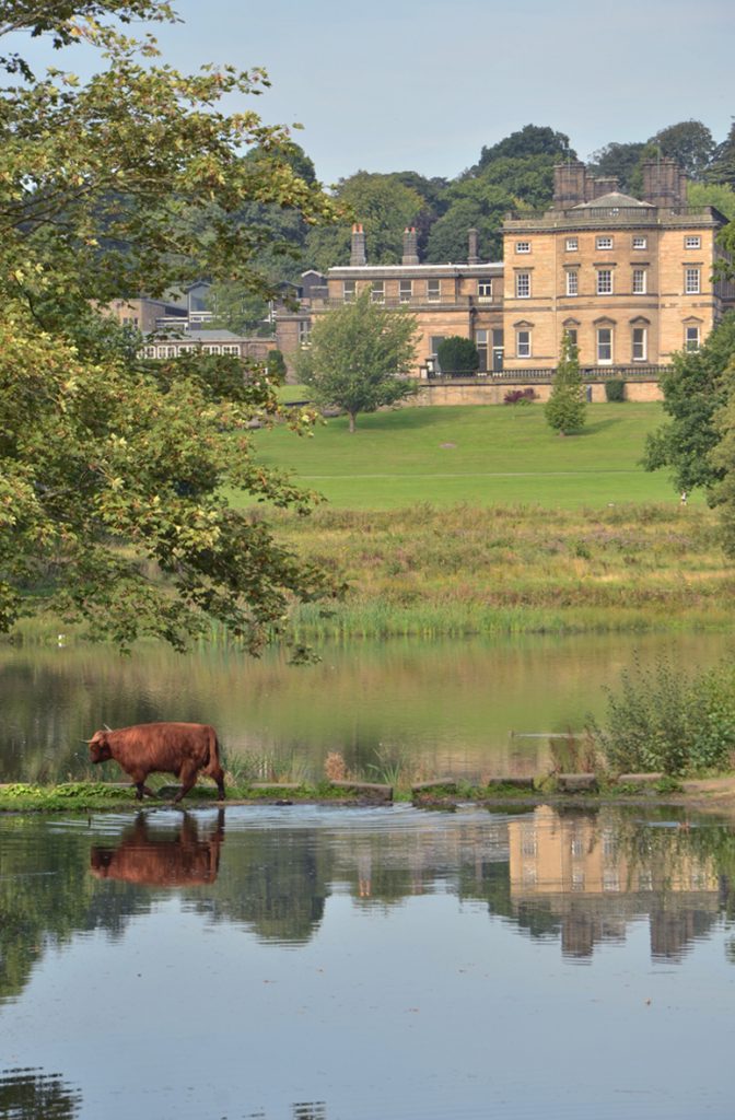 Photo: Bretton Hall, Pat Naldi YSP 2016