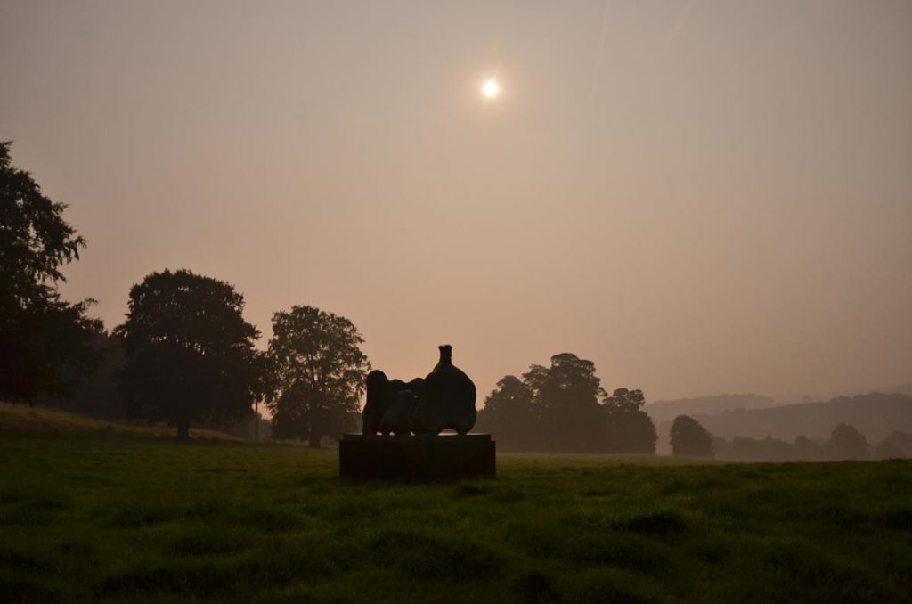 Photo: Park at night, Pat Naldi YSP 2016