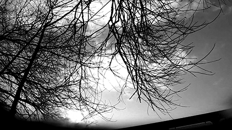 James Richards, still from Rosebud 2013, HD Video, 13 minutes. Courtesy the Artist, Cabinet, London and Rodeo, Istanbul