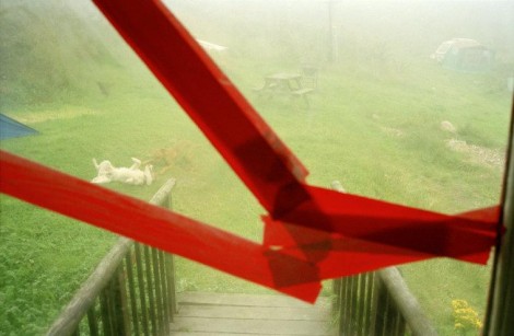 GB. WALES. Druidstone. Dogs playing seen through broken window. 2001