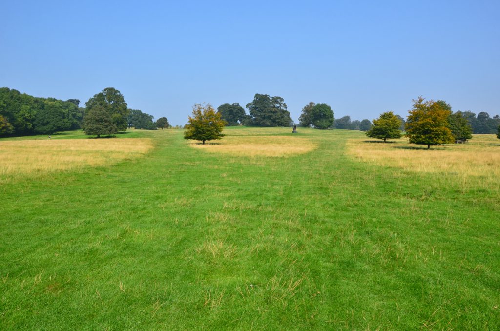 Photo: Parkland, Pat Naldi YSP 2016